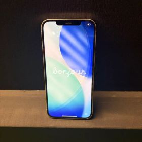 Apple iPhone 12 Pro Max 256GB Silver 本体