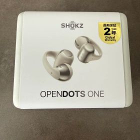 【未開封】Shokz OpenDots ONE SKZ-EP000053 グレー