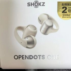 Shokz OpenDots ONE SKZ-EP-000053 グレー