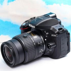 ニコン Nikon D5300⭐️WIFI搭載⭐️初心者おススメ⭐️おまけ多数