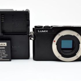 Panasonic LUMIX DMC-GM5 ブラック 本体とバッテリー