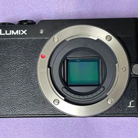 LUMIX DMC-GM5K 単焦点レンズキット