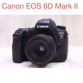 一眼レフカメラCanon EOS 6D Mark II /単焦点レンズセット
