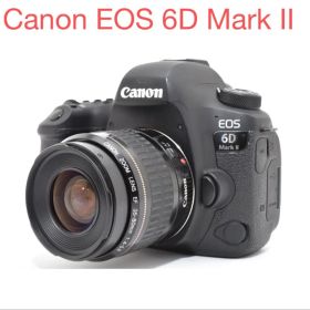 デジタル一眼カメラ/Canon EOS 6D Mark II/標準レンズセット