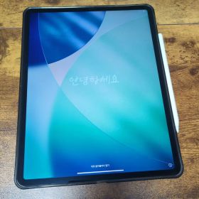 iPad Pro 12.9インチ 第3世代 256GB Apple Pencil