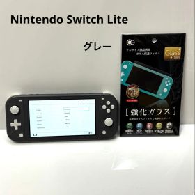 Nintendo Switch Lite グレー 本体・保護フィルム