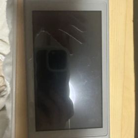 Nintendo Switch Lite グレー ポケモン版