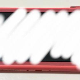 Nintendo Switch Lite＋どうぶつの森