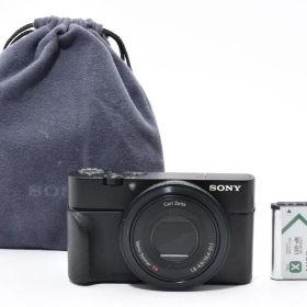 SONY DSC-RX100 初代