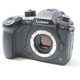 パナソニック Panasonic DC-GH5S ボディ