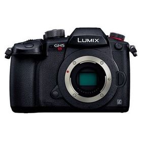 中古 1年保証 美品 Panasonic LUMIX GH5S ボディ ブラック [DC-GH5S-K]