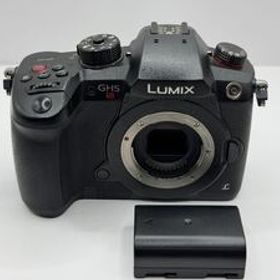 ★超極上級★パナソニック Panasonic LUMIX DC-GH5S ボディ