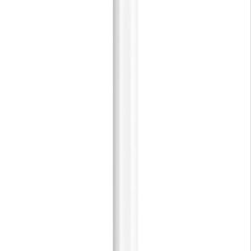 Apple Pencil（第２世代） ホワイト
