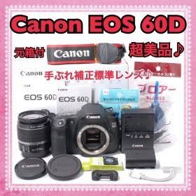 ハイアマチュアモデル✨Canon EOS 60D 標準レンズセット スマホ転送