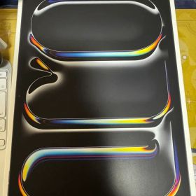 iPad Pro 11インチ スペースグレー 256GB 本体