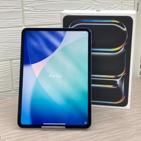 【美品】iPad Pro M5 11インチ 256GB MDWK4J/A スペースブラック