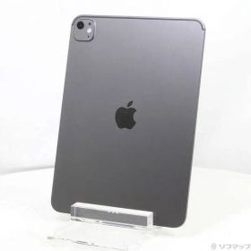 ソフマップ 〔中古品〕 iPad Pro 11インチ(M5) 標準ガラス 256GB スペースブラック MDWK4J／A Wi-Fi【258】