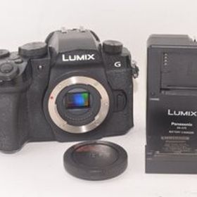 Panasonic パナソニック LUMIX G DC-G99 ボディ ミラーレス一眼カメラ 2503094