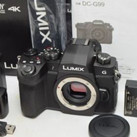 ★Panasonic パナソニック LUMIX DC-G99 ボディ★元箱付・メモリーカード256GB付