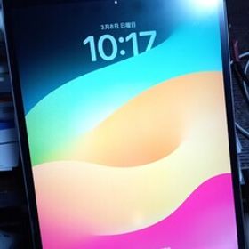 Apple iPad Pro 10.5インチ Wi-Fiモデル 64GB 第1世代 MQDT2J/A A1701 シルバー