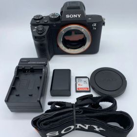 【返品保証・動作確認済】SONY α7 II