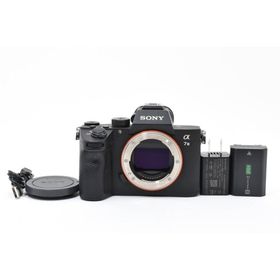 ソニー(SONY)のショット数3,969回 》SONY α7 III ボディ ILCE-7M3(デジタル一眼)