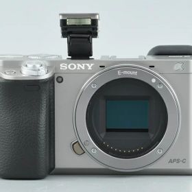 【中古】SONY ソニー α6000 ILCE-6000 ダブルズームレンズキット シルバー 元箱付き 多言語対応