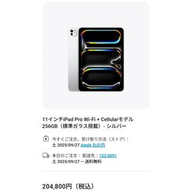 iPad Pro 11インチ M4 Cellular 256GB(タブレット)