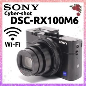 ❤即購入1000円OFF❤美品❤Sony Cyber-shot RX100Ⅵ
