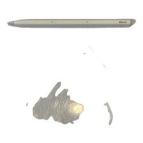 Apple◆Apple Pencil 第 2世代 MU8F2J/A A2051