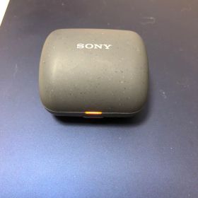 SONY ワイヤレスイヤホン WF-L900