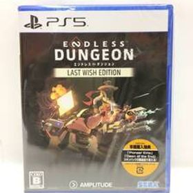 G638 PS5【新品・未開封】ENDLESS DUNGEON LAST WISH EDITION 特典コード封入 プレステ5 ゲームソフト エンドレス ダンジョン