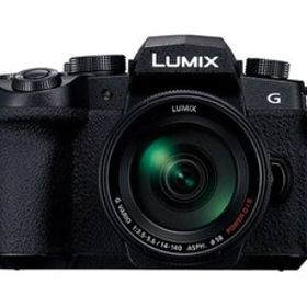 【店頭展示品】LUMIX DC-G99DH 標準ズームレンズキット デジタル一眼カメラ【商品管理番号62790】