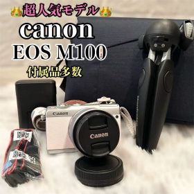 【付属品多数】 Canon EOS M100 リミテッドピンク ミラーレス一眼