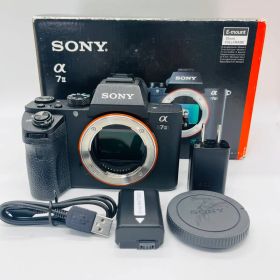 2960ショット！！ソニー フルサイズ ミラーレス一眼カメラ α7II