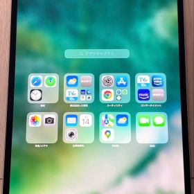 Apple iPad Pro 10.5インチ 256GB