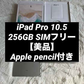 【早い者勝ち】iPad Pro 10.5 256GB 付属品多数！ 【すぐ発送】