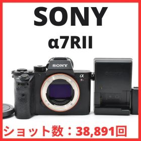 C07[7410]60 ソニー SONY α7RII ボディ ILCE-7RM2 【ショット数 38，891回】