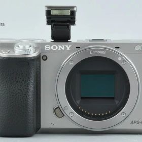 【中古】SONY ソニー α6000 ILCE-6000 シルバー ミラーレス一眼カメラ 多言語対応