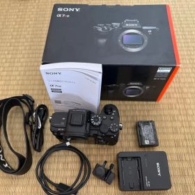 シャッター数: 133極美品ソニーSONY α7RⅣ 本体 ILCE-7RM4