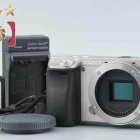 【中古】SONY ソニー α6000 ILCE-6000 シルバー ミラーレス一眼カメラ 多言語対応