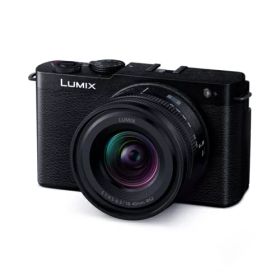 【長期5年保証付】パナソニック Panasonic LUMIX S9 DC-S9N-K ジェットブラック デジタル一眼カメラ 広角ズームレンズキット DCS9NK