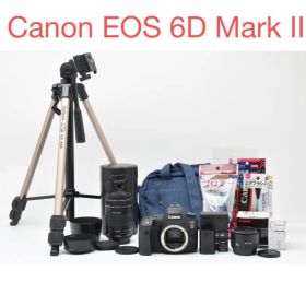 Canon EOS 6D Mark II /EF 50mm/EF90-300mm