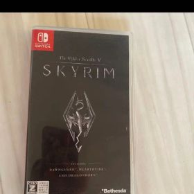 The Elder Scrolls V: Skyrim (Switch)