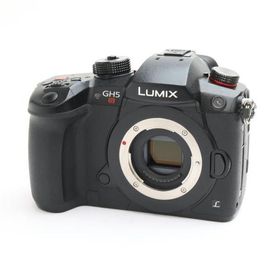 《良品》Panasonic LUMIX DC-GH5S ボディ