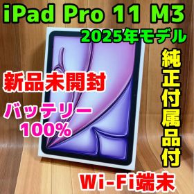 新品未開封 WiFi iPad Air 11インチ M3 第7世代 128GB