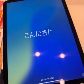美品 iPad Air 11インチ M3 256GB ブルー 本体 充電器付き