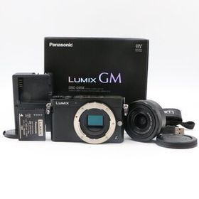 【ほぼ新品】PANASONIC LUMIX GM5 DMC-GM5K ブラック パナソニック