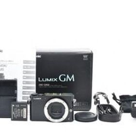 #g258★極上美品★ Panasonic パナソニック LUMIX DMC-GM5-K ボディ ブラック シャッター数5200枚以下