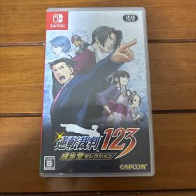 逆転裁判123 成歩堂セレクション【たくみ⭐️フォロー割受付中様専用】